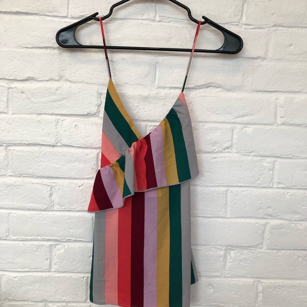 Beautiful rainbow tank